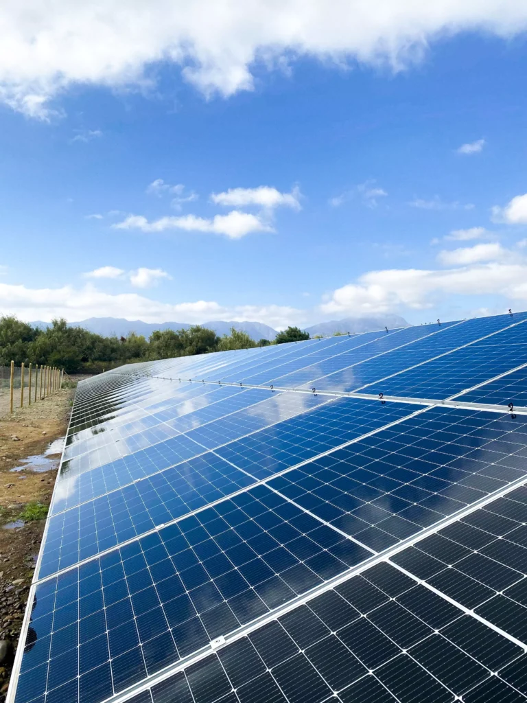 Revisa las fotografías de la etapa1 del proyecto para Agrícola Quebrada del Ají.