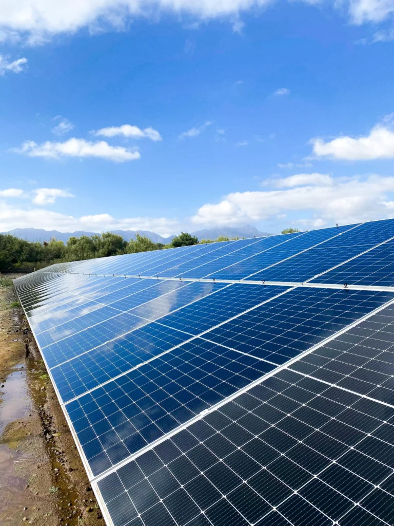 Revisa las fotografías de la etapa1 del proyecto para Agrícola Quebrada del Ají.